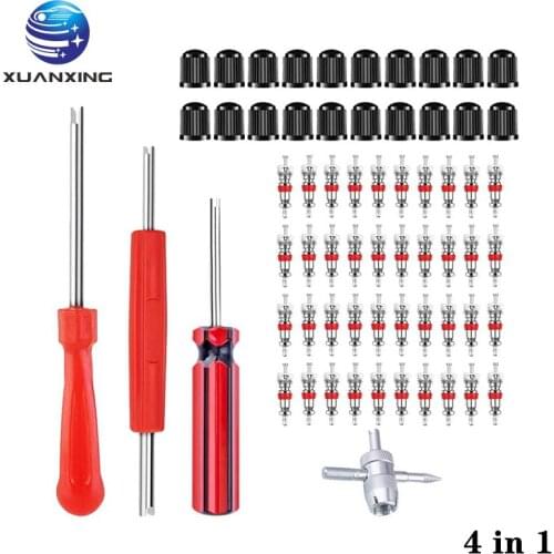 40PCS Car Valve Core Single and Double Head Spool Remover 20PCS Valve Cap 4 In 1 Tool
