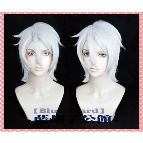 Anime The Case Study of Vanitas Noé Archiviste Cosplay Wig The Case Study of Vanitas Noé Short Silver Wig Hair Halloween Party