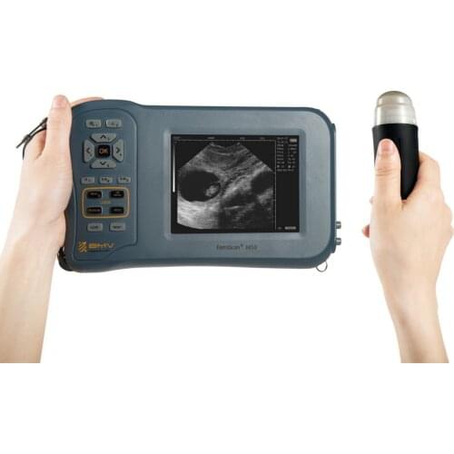 Handheld ultrasound machine M50 Convenient pig/swine pregnancy test ultrasound scanning instrument farm equiment