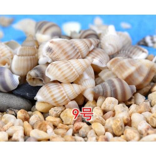 10pcs 1X1.5cm Mini Decorative Shells Miniatures Seashells Aquarium/Terrarium Ornaments Figurines Home Garden DIY Accessories