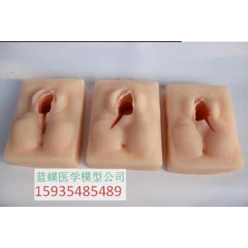 Vulva suture practice model perineum suture practice module gynecology and obstetrics suture skill training model