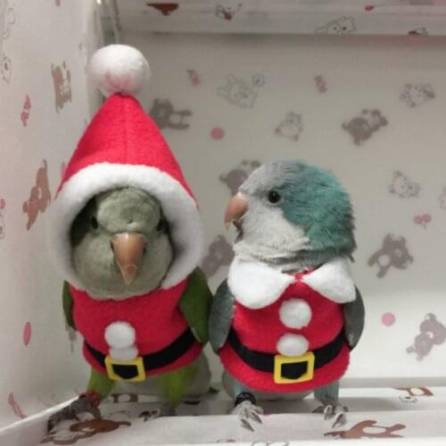 Bird Warm Clothes Hand-made Bird Cute Flying Suit For Cockatiel Sun Parakeet Monk Parakeet Soft Fabric Parrot costume M6168