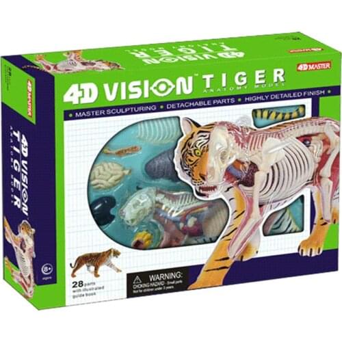 Tiger anatomy 4D master puzzle assembly toys animal Medical models