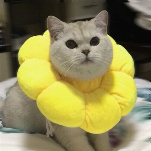 Pet Cat Recovery Collar Elizabeth Cone with Cute Flower Shape Soft Cotton Comfortable Recovery Collar for Pet Cat Supplies