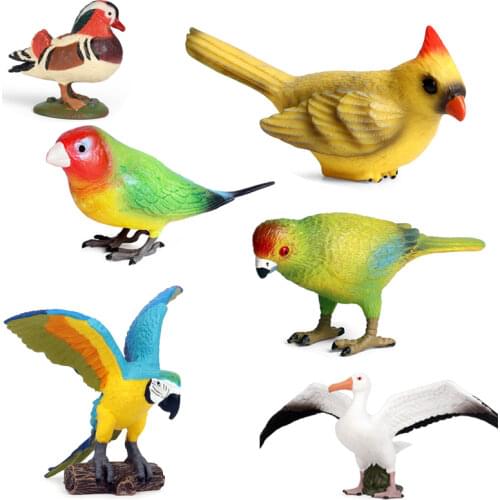 Wild Birds Model Animal Turkey Macaw Owl Eagles Ostrich Pelican Figurines Toy Animal Action Figure Learning Education Bird Gift