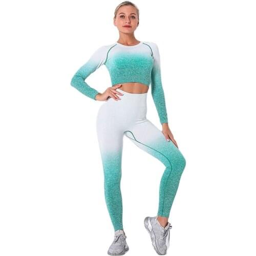 Seamless Long Sleeve Set Sport Wear Women Gym Fitness Clothing Female Sport Suit High Waist Legging Sports Long Sleeve Tracksuit