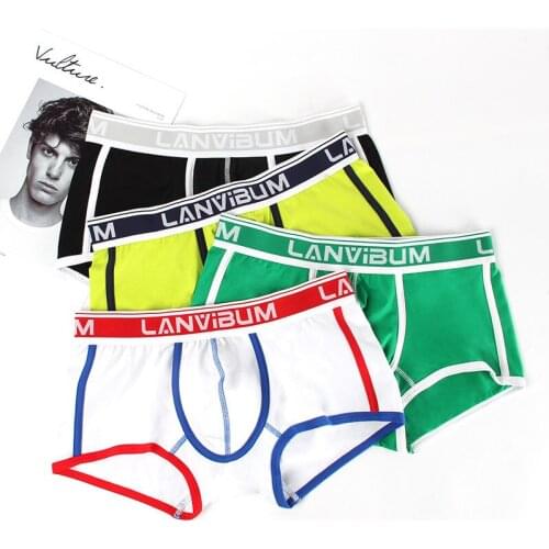 Men Boxer Shorts Trunks Coton Bugle Pouch Underpant Heren Ondergoed Male Panties Plus Size Underwear calzoncillo hombre Swimwear