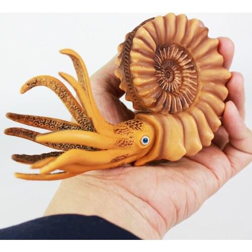 Sea Life Animal Conch Nautilus Figure Toys Ocean Animal Kids Solid Plastic Cement Toys Gift