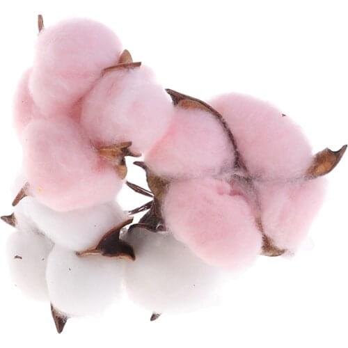 10Pcs Artificial Natural Dired Cotton Flowers Wedding Xmas Home DIY Decor Florist Supplies