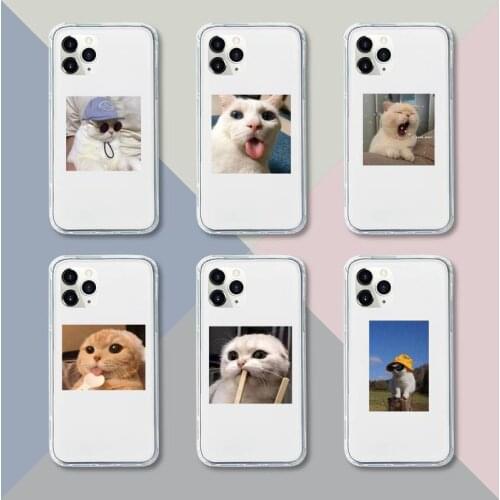 Cute Cat Phone Case Transparent For iPhone 12 11 pro mini XS XR X max 5 6 s 7 8 plus Soft TPU Clear Mobile bags