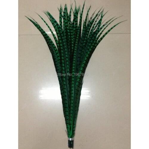 50 pcs Grass green color pheasant tail feather 70-80 CM 28-32 inch lateral tail markings Wittenbuik chicken feathers