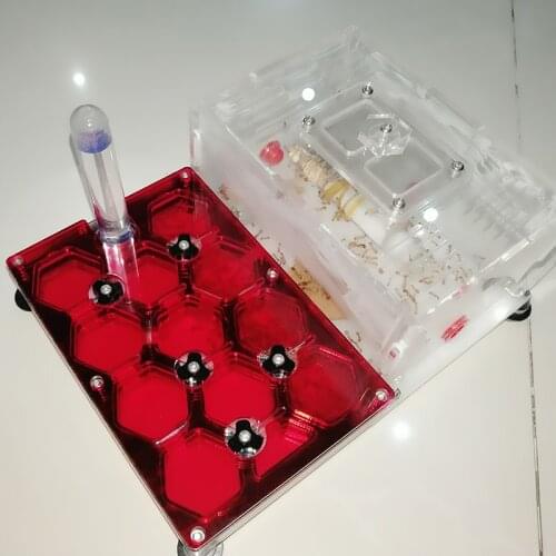 White Background Black Edge Ant Nest Honeycomb Plane Nest Acrylic Nest Creative Drawer Moisturizing Ant Farm With Water Tower