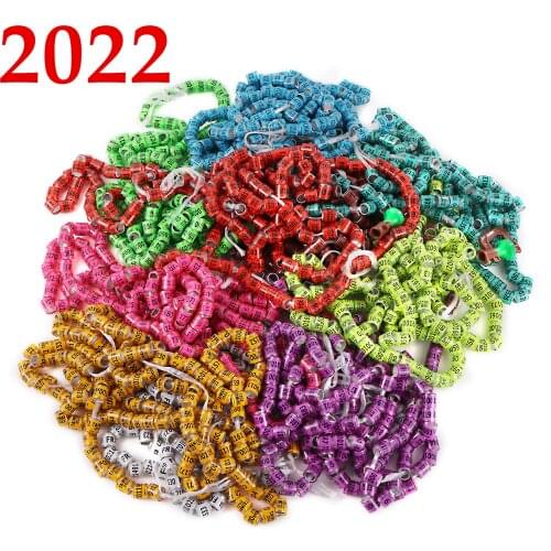 500 Pcs Pigeon Foot Ring 2022 Multicolor Pigeon Foot Ring With Word Earrings Quality Durable Bird Training Tool Bird Tools