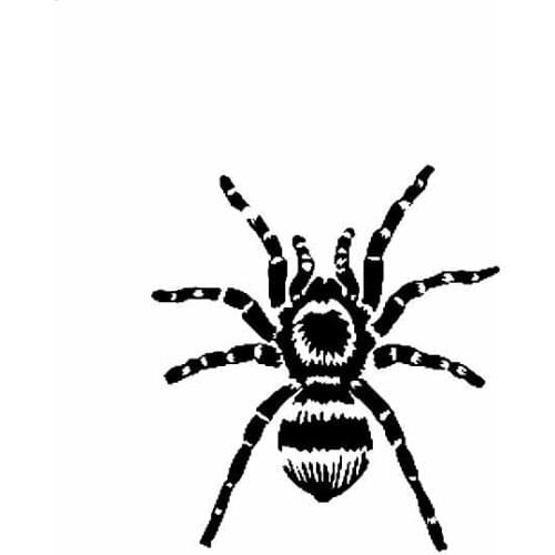 Interesting Car Sticker Text Car Stickers Crazy Dog Lady Accessories KK Decals Car Body for Van Bike Offroad PVC17cm X 15cm