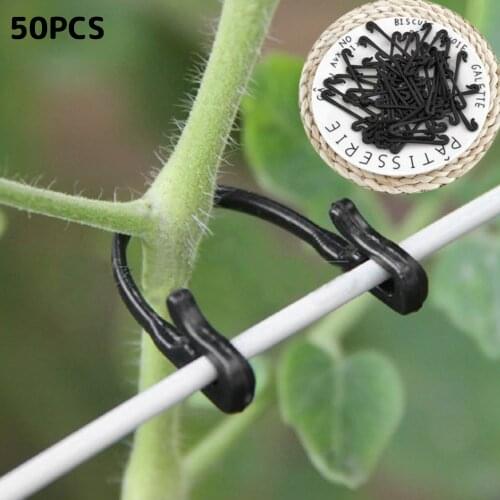 50 Pcs Grape Vines Clips Fastener Tied Plant Support Clip Hook Grape Connection Buckle Tomato Vegetable Grafting Support Clips
