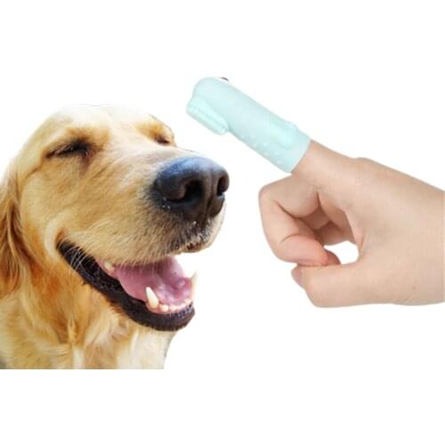 Finger Toothbrush For Dog Carton Design Chiens Supplies Teeth Clean Dental Care Bpa Free Soft Ergonomic Fingerbrush