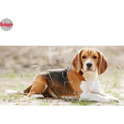 Dog Beagle Full Square drill 5D DIY Diamond Embroidery Diamond Painting Cross Stitch Rhinestone Mosaic beads crystal decor gift