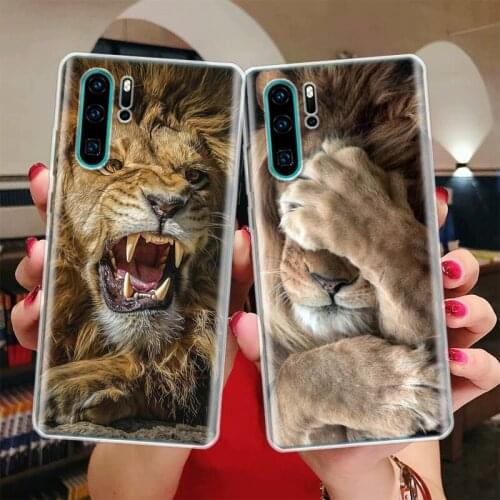 Lion Alpha Male Cub Silicon Phone Case For Huawei Honor 10 9 20 Lite Y5 Y6 Y7 Y9 9X 8X 8S 8A 7X 7A 7S Pro + 10i20i Coque