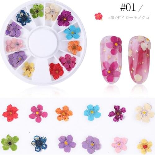 Colorful Dried Flower Nail Decoration Natural Floral Sticker Mixed Dry Flower DIY Nail Art Decals Jewelry UV Gel Polish Manicure