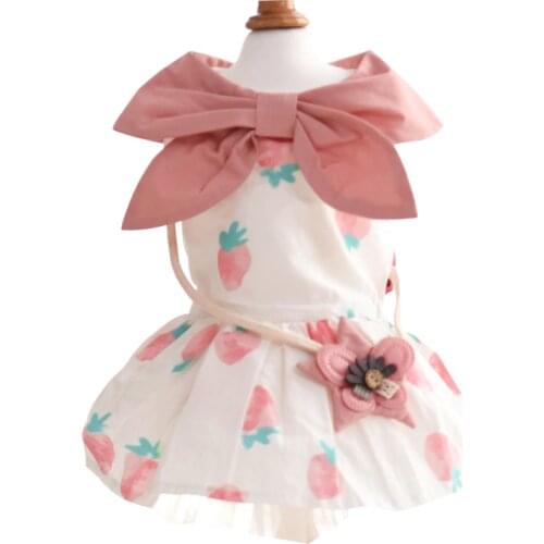 Pet Dog Dress Summer Girl Dog Clothes Princess Skirt Tutu Poodle Bichon Frise Yorkie Pomeranian Schnauzer Pet Clothing Dresses