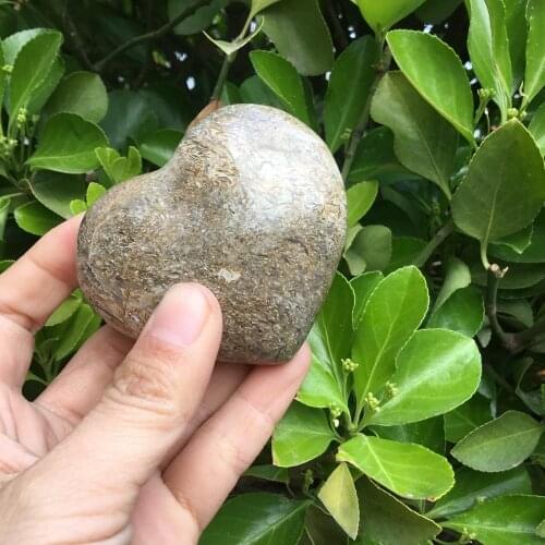 170g Natural Dinosaur Bone Fossil Stones Carved Crystal Heart Shape Stone Puffy Heart Shape Minerals For Home Decoration