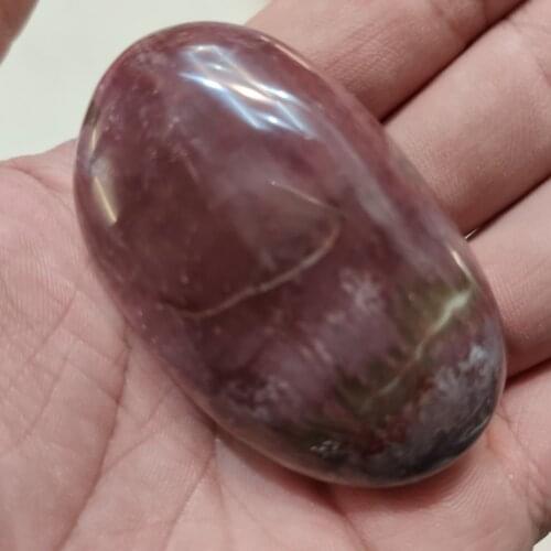 1PCS Natural Stones Wood Fossil Crystal Palm Stones Madagascar Polished Healing Stone Home Decoration Gift