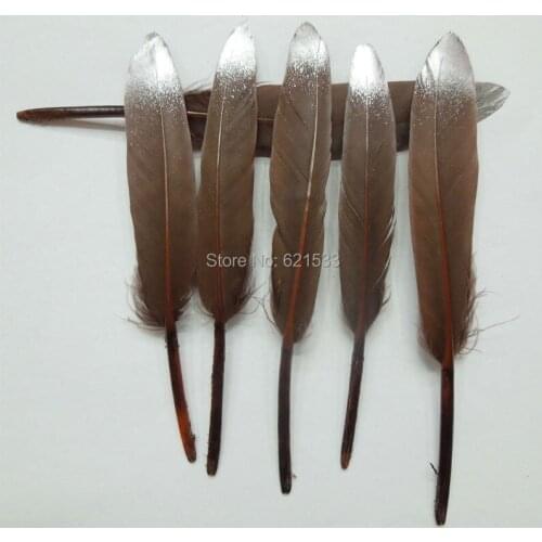Silver Dipped Feathers,Brown and Silver Decorative Feathers,Feather Wedding Decor,Party Supplies,Duck Cocottes Feathers,50pcs