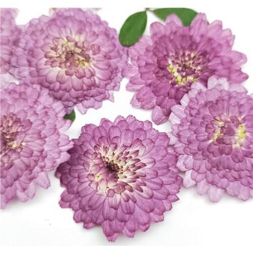 24pcs,Natural Pressed Flowers Real Dried Chrysanthemum,DIY Art Craft Valentines gift Bookmark Decoration,Scented candle decor