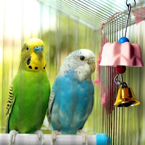 Parrot Teeth Grinding Toys Bird Squirrel Calcium Stone Chewing Bell Flower Shape