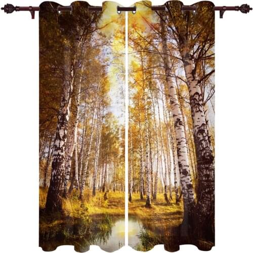 Autumn Birch Forest Valance Curtains For Living Room Study Youth Bedroom Kitchen Outdoor Windows Custom Cotton Linen