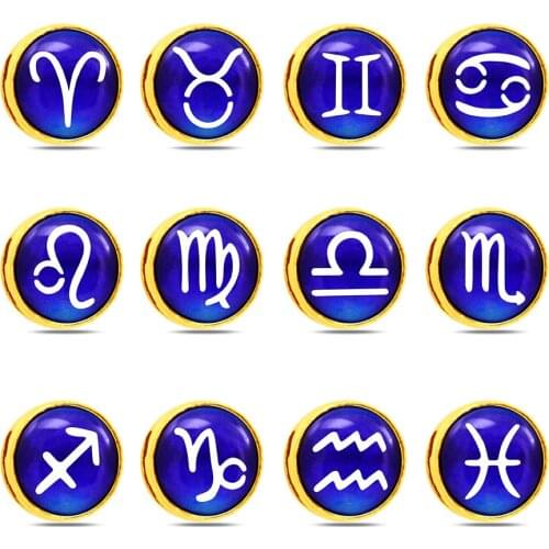 12pcs/lot Internal Dia 8mm Slide Charm Gold Constellations DIY Accessories fit 8mm wide belt pet collar