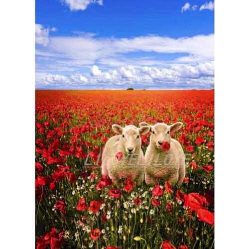 Diamond mosaic Full square/round diamond painting"Poppies And Lambs"embroidery flower animal picture needlework home decor FG186