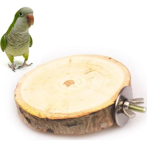 PipiFren Bird Toys Wood Perch Accessories Parrot Stand Swing Ladder African Grey vogel zitstokken oiseaux accessoires de cage