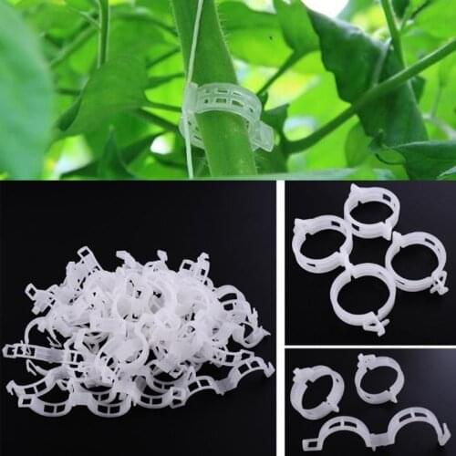 50/100pcs Reusable Plastic Plant Support Clips Plants Hanging Vine Clip Garden Greenhouse Fork Vegetable Tomatoes Clips Supplies