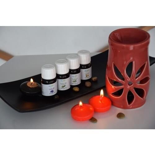 Dr. Bio Aromatherapy Red Censer and 4'lü Oil Set