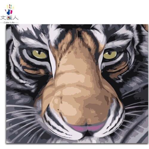 DIY numbers paints by numbers animals tigers pictures paintings by numbers with kits on canvas for art wall decor 40x50 framed