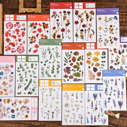 2 Sheets Creative PVC Transfer Sticker Cute Dried Flower Plant Light Retro Watercolor Srapbooking Material Sticker Stationery