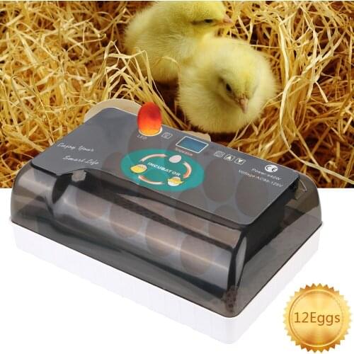 Pet Products Farm Hatchery Automatic Eggs Incubator 4-35 Egg Hatchers Chicken Bird Quail Brooder Cheap Price