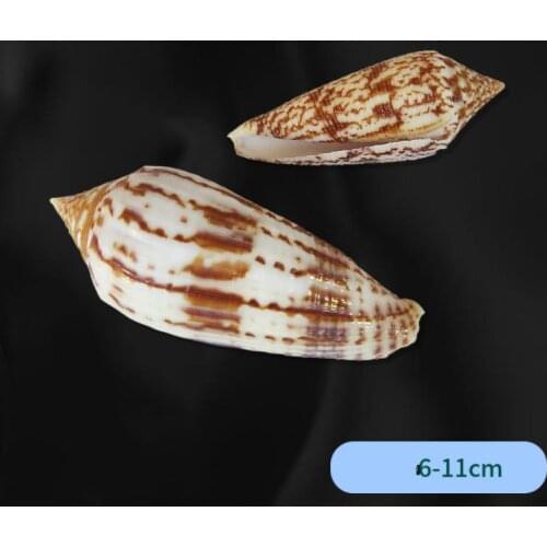 Ocean Sea shells Wedding Decor Beach Theme Party, Seashells Home Decorations, Fish Tank,Candle Making sea star