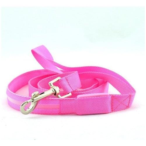 Luminous Nylon Dog Leash Pet Supplies Dog Collar LED Light Up LED Flashing Glow Night Safety Pet Accessories