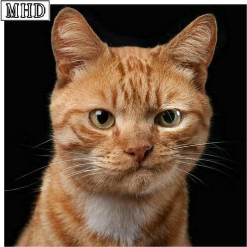 Full square / round diamond painting cat cross stitch diy 5d diamond mosaic animal crafts 3d diamond embroidery decoration