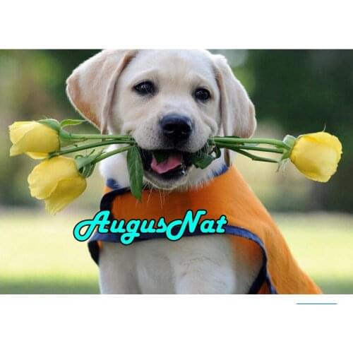 Full square labrador diamond painting dog dimond embroidery yellow rose diamant dotz flower beads picture diamond mosaic animal