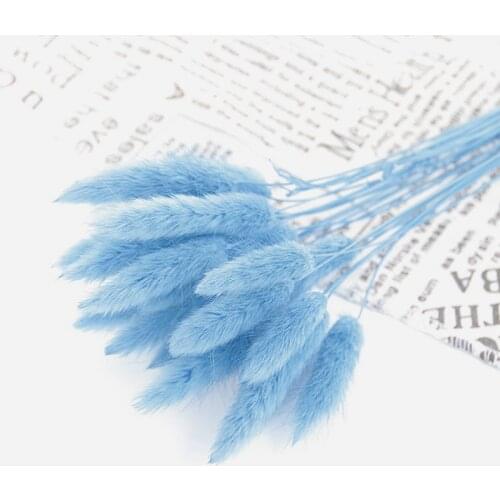 30Pcs 50cm Bunch Natural Dried Flower Bunny Tail Pampas Grass Real Bouquet For Photography Props Flores Diy Home Wedding Decor
