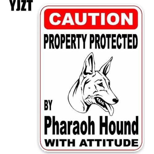 YJZT 10*14.2CM Property Protected By Pharaoh Hound Dog Creative Fashion PVC Material Car Sticker C1-4755