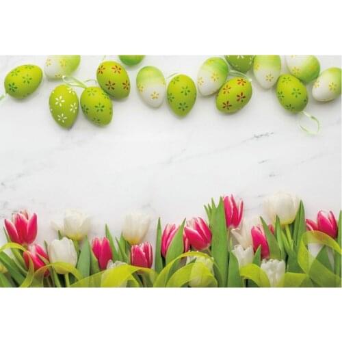 Holiday Backdrop Beauty Tulip and Green Eggs Photography Background Baby Shower Celebration Photo Booth Studio Decor