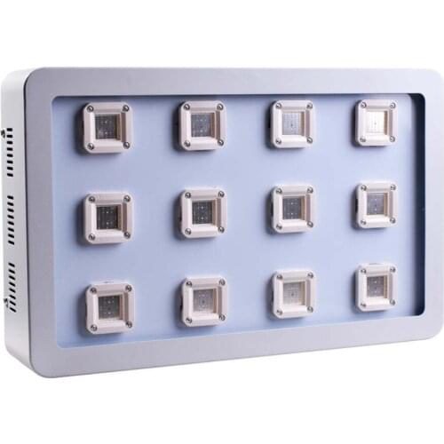 3600W Full Spectrum LED Grow Lights Greenhouses and Gardens Indoor Plants Hydroponic COB led plant Grow lamp