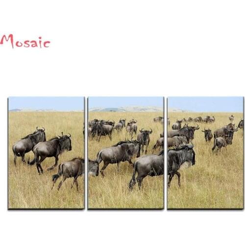 Diamond Embroidery 3pcs Wildebeest National Park Kenya,Africa DIY Diamond Painting Cross Stitch Rhinestones Full Square Diamond