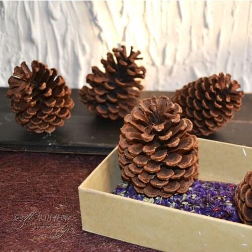 Natural pine cones 8cm large size shooting decorative artificial flowers dried flowers Yunnan dried flowers really shoot props