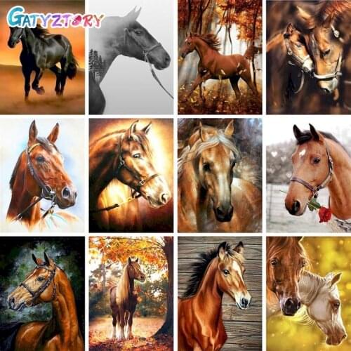 GATYZTORY Painting By Numbers Horse Picture Drawing On Canvas Acrylic Paints Home Decor Animal Coloring By Numbers