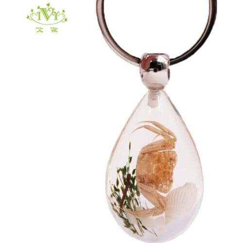 Natural Crab Seaweed Shell Conch Trinket Real Animal Key Chains Shining Red Green Key Ring Llaveros Para Mujer Insect Key Lock